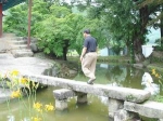 전통연못에 놓여진 생태적인 다리 @ 류기석 2005 경북봉화